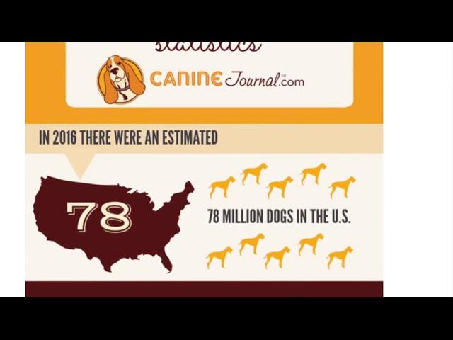 Canine Journal’s Deceptive Misuse of Statistics