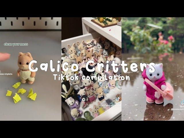 Calico critters contents