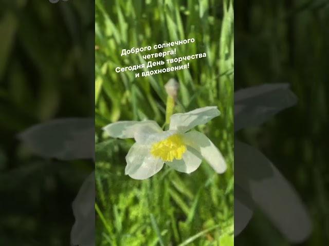 Мастер-классы по живописи - вдохновение и радость. Запись на занятие  ￼8 902 870 33 19 Екатеринбург