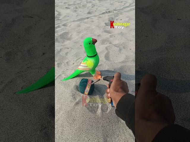 Rc smart parrot toy testing