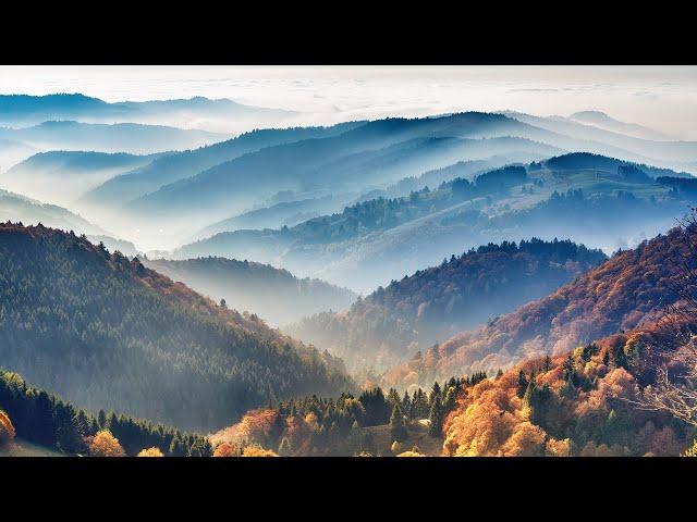 The Mysteries Of Germany's Black Forest