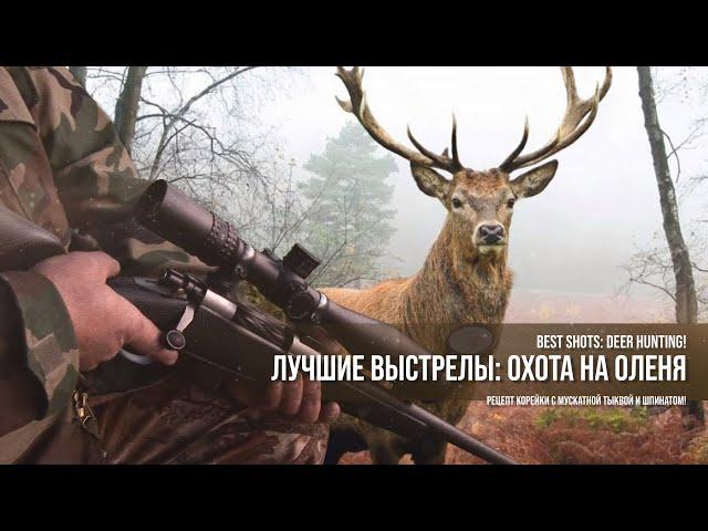 Лучшие выстрелы: охота на оленя и рецепт корейки с овощами! Best shots: deer hunting!