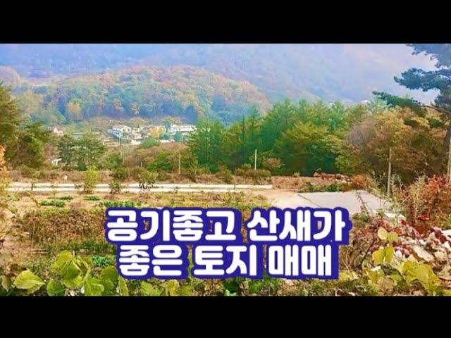 [좋은 매물] 포천 산정호수 근처 500평!