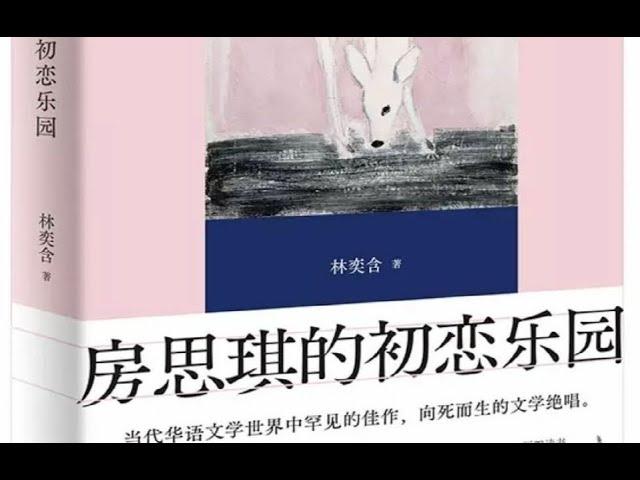 房思琪3 写作风格优劣势