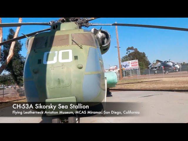 Sea Stallion
