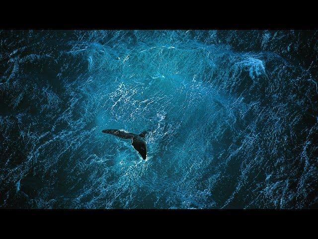 Planète Océan [FR] Yann Arthus-Bertrand & Michael Pitiot - le film Full HD