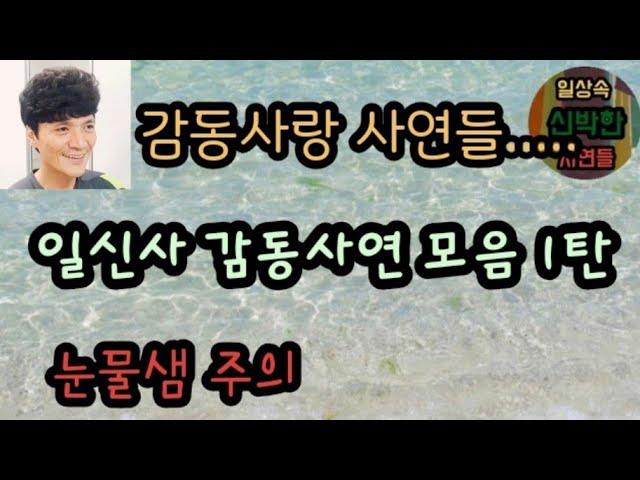 [감동사연모음] 일신사 감동 사랑사연 모음..... 눈물샘 주의보    미즈넷사연 사이다사연 사이다썰 라디오사연 레전드사연 핵사이다사연 시원한사연 오늘의사연