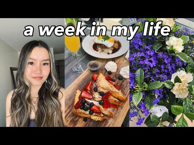 vlog: getting brunch, amazon haul, self care sunday and hair care favorites