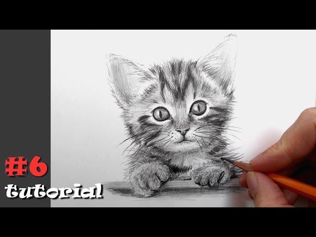 Как нарисовать кота карандашом.