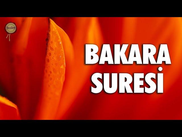 Bakara Suresi | Dua Edince Dua Edenin Duasına Cevap Veririm | Ali Turan | fussilet Kuran Merkezi