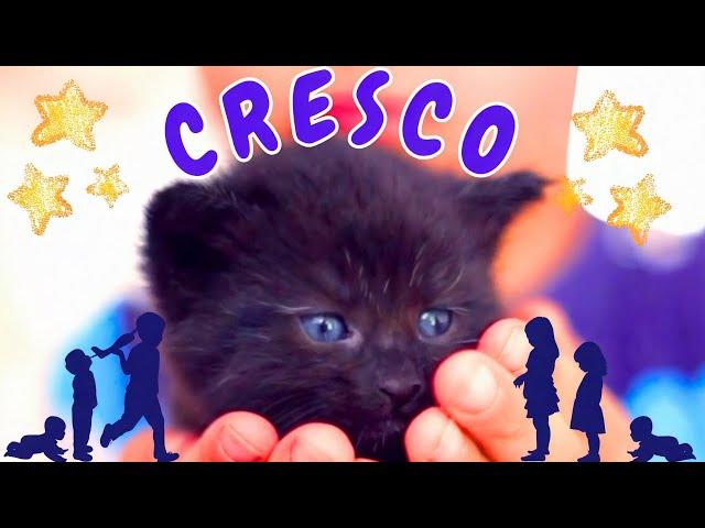 Cresco. Canzone per bambini