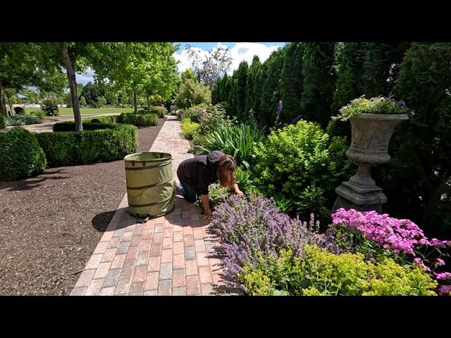 Pruning, Deadheading & Early Summer Cleanup in the West Side Flower Bed! ️ // Garden Answer