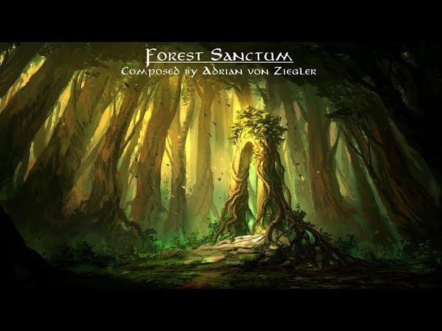 Relaxing Celtic Music - Forest Sanctum