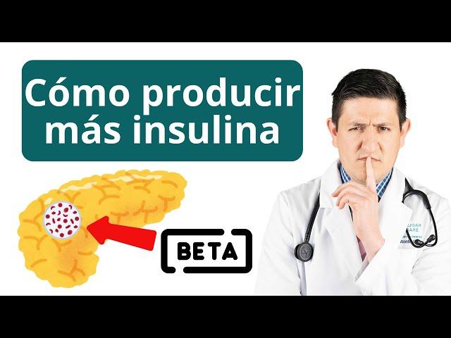 Cómo producir más insulina para revertir la Diabetes