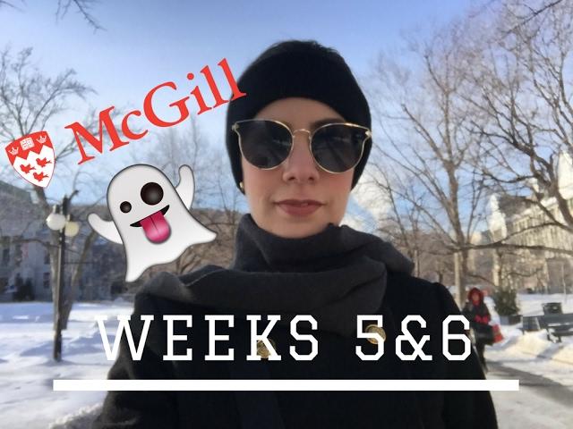 Vlog 5: Midterm exams!! I HOLOCAUST MUSEUM (PARANORMAL ACTIVITY), MCGILL UNIVERSITY, LIBRARY