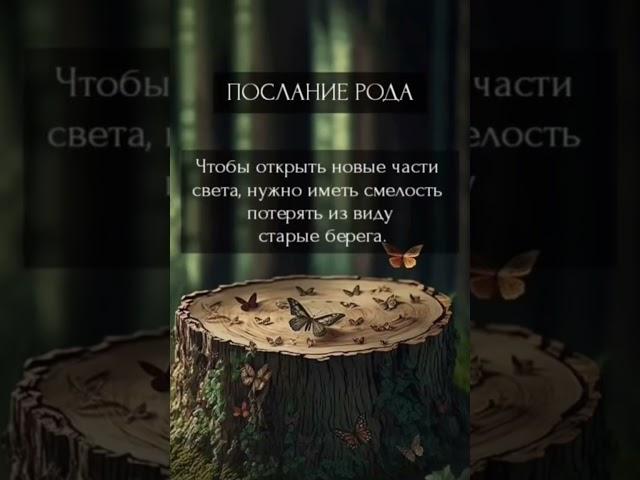 послание рода  ️