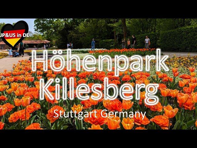 【Stuttgart】A spring day at Höhenpark Killesberg / Nature & Enjoy in Stuttgart Germany