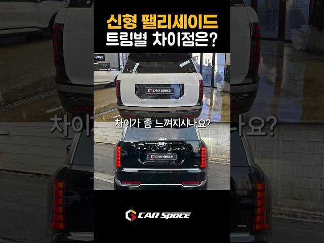 신형 팰리세이드 트림별 차이점은?