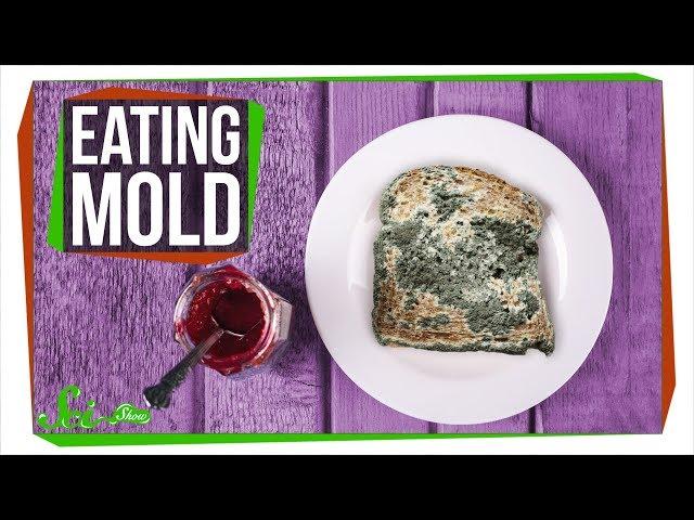 What Happens If You Eat Mold?