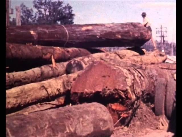 Historical Timber Handling & Milling - Safety Nightmare!