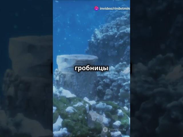 Консервация тысячелетий#факты #история #history #интересныефакты