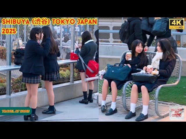 4k hdr Japan travel 2025 | Walk in Shibuya (渋谷) Tokyo Japan |  Relaxing Natural City ambience