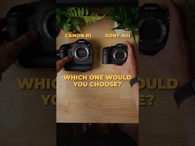 Canon R1 vs Sony A1 — Which Flagship Would You Pick?