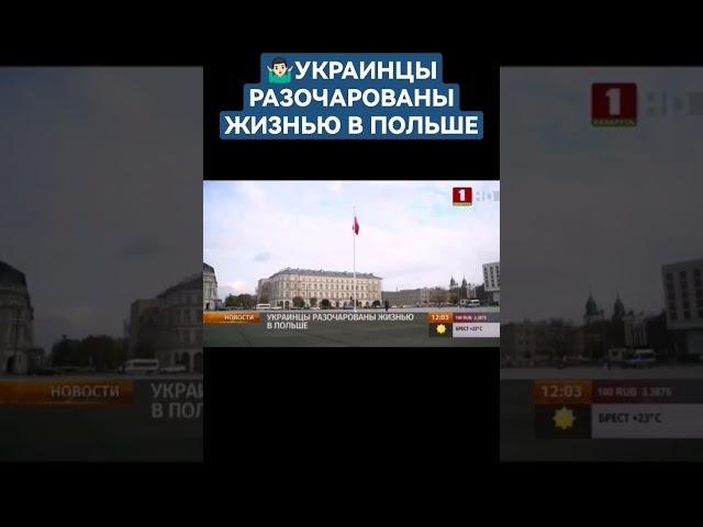 Украинские беженцы разочарованы проживанием в Польше #польша #беженцы #украина #shorts #варшава