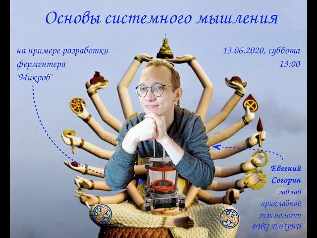 Системное мышление, Евгений Согорин, ФИЦ ПНЦБИ РАН, 13.06.2020