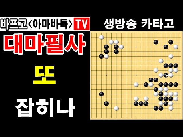 [카타고복수전] 두기만하면 다 잡히는 바프고