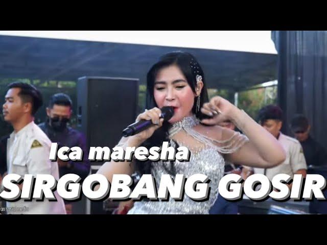 SIR GOBANG GOSIR - ICA MARESHA ( LIVE SHOW )