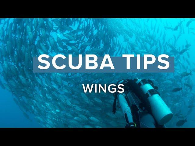 Wings | Top Tips | @simplyscuba