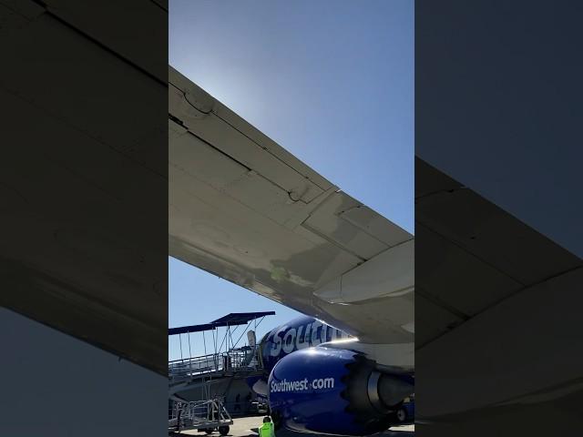 Walking under the plane at Long Beach Airport!! #plane #aviation #737max #southwest #flight #boeing