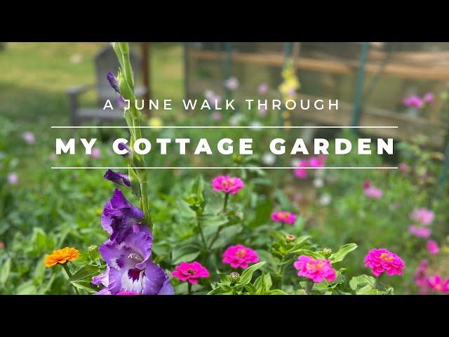 A June Cottage Garden Tour | Welcome Summer | The Southern Daisy