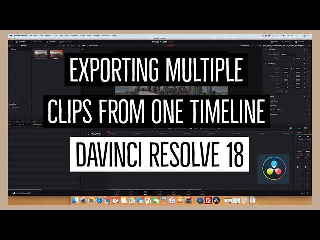 Exporting Clips from one Timeline as Individual Files in DaVinci Resolve 18