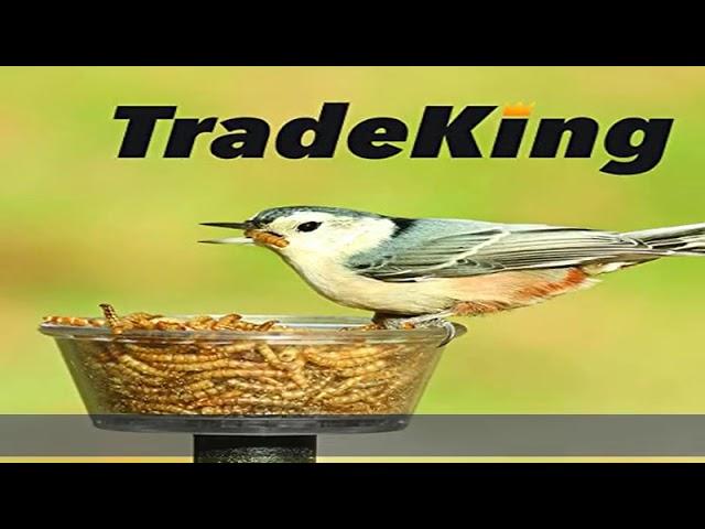 TradeKing 1 lb Dried Mealworms - High Protein Treat for Wild Birds, Chicken, Fish & Reptiles