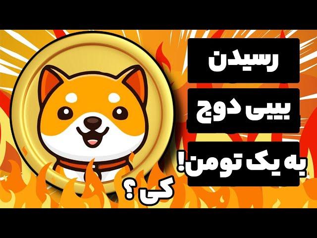 رسیدن قیمت بیبی دوج به یک تومان کی خواهد بود پیش بینی رسیدن قیمت baby doge coin