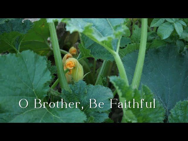 602 SDA Hymn - O Brother, Be Faithful (Singing w/ Lyrics)