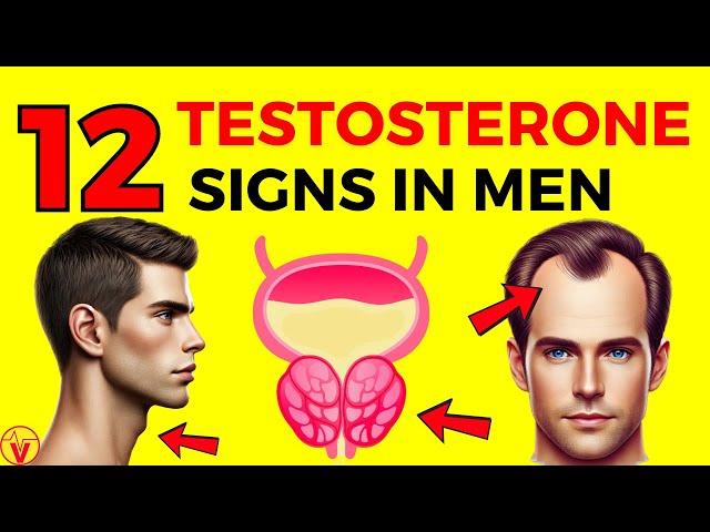 12 Signs Of High Testosterone In Men (Both Physical & Emotional) | VisitJoy