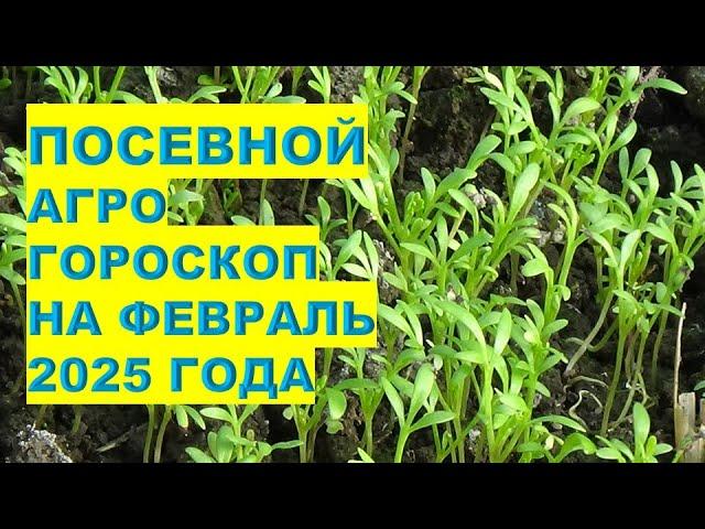 ФЕВРАЛЬ 2025: ЕСТЬ ЛИ "Золотые Дни" для ПОСЕВОВ СЕМЯН!