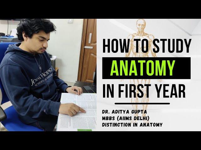 How to study Anatomy in 1st Year #mbbs #1styearmbbs