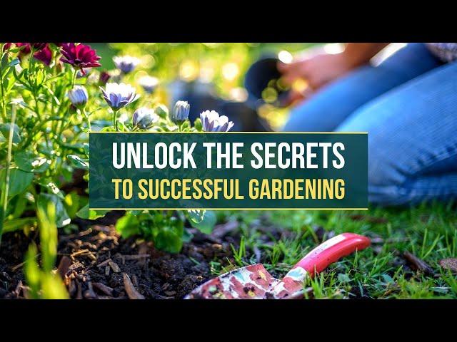 5 Essential Tips for Beginner Gardeners | Expert Gardening Advice