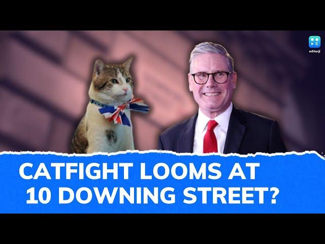 Buddy Or Rival? Larry The Cat Has Company At 10 Downing Street