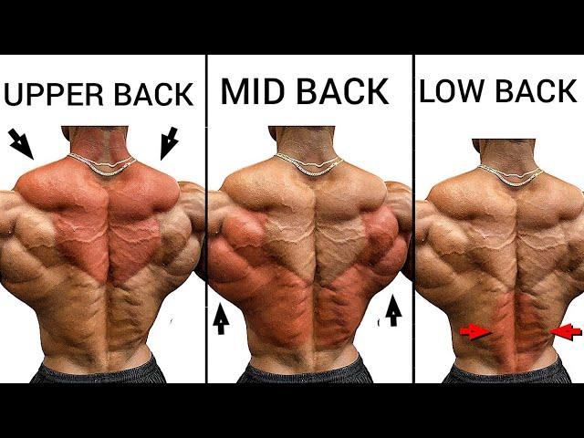 Best 5 Upper Back Middle Back and Lower Back to Build Bigger Back - Big Back Workouts