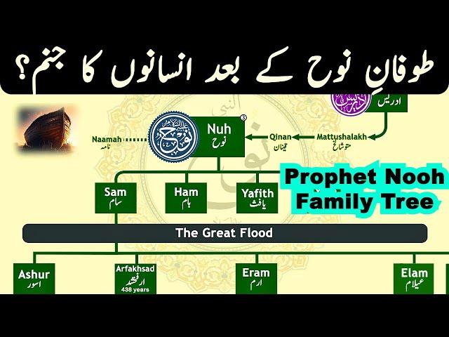 Hazrat Nuh Family Tree | Rebirth of Humans | Adam e Sani Hazrat Nooh