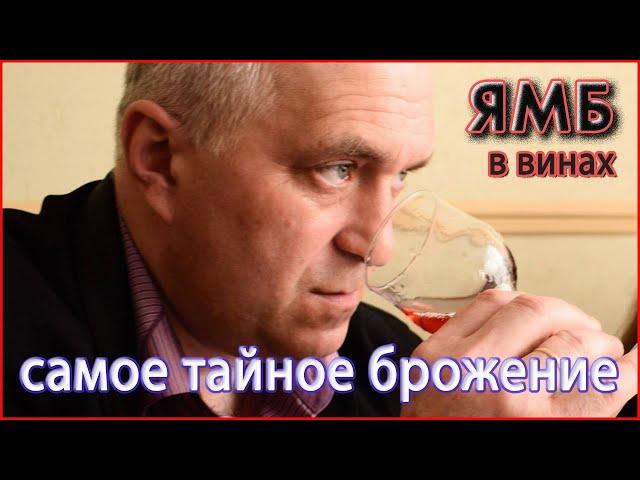 Открываю тайны ЯБЛОЧНО МОЛОЧНОГО БРОЖЕНИЯ в вине.