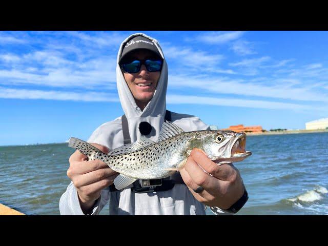 Non-Stop Trout Action on the Seawall | Inshore Fishing | Virginia Beach, FL