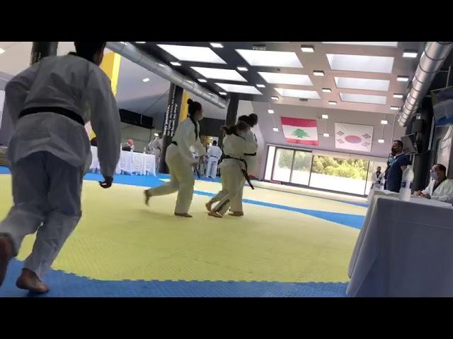 TAEKWONDO 4TH DAN PROMOTION TEST - HOSINSOOL (SELF DEFENSE) - MULTIPLE OPPONENT