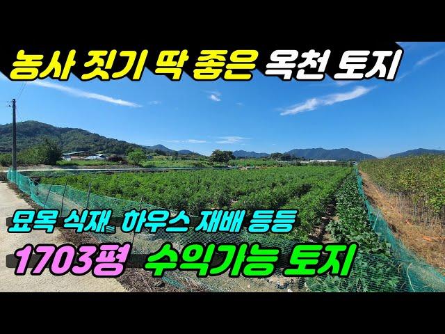 757. [옥천 토지매매] 1703평의 토지로 이원 묘목시장 부근에 있는 네모 반듯한 토지로 차량 진입 편하고 묘목식재, 하우스 농사, 유실수 재배등 활용도 좋고 햇살 좋은 토지임