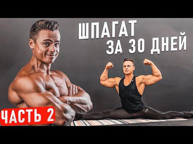 Как СЕСТЬ НА ШПАГАТ за 30 дней? Часть 2